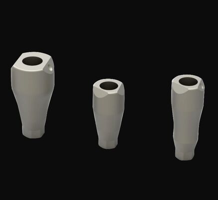 কেনা সিলভার কেটিজে ইন্টারনাল কানেকশন ডিজিটাল স্ক্যান বডি ফর ইমপ্লান্ট হাই প্রিসিশন online manufacture